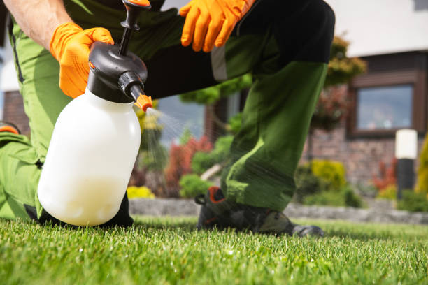 Best Pest Removal Services  in Belmont, WI