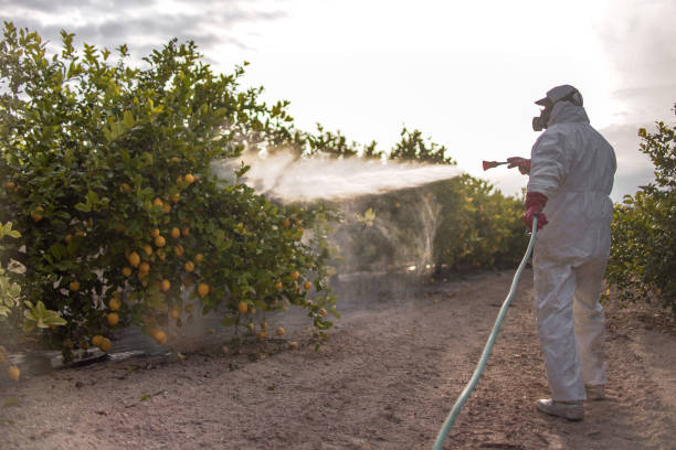 Best Residential Pest Control  in Belmont, WI