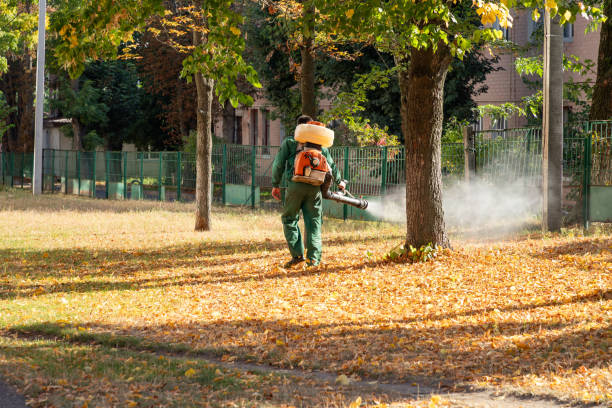 Reliable Belmont, WI Pest Control Solutions