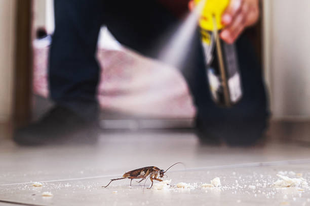 Best Pest Inspection Near Me  in Belmont, WI