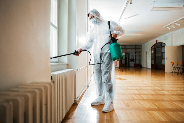 Best Affordable Pest Control Services  in Belmont, WI