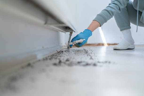Best Pest Control Near Me in Belmont, WI